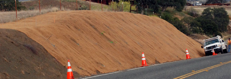 Berm on the side of a road